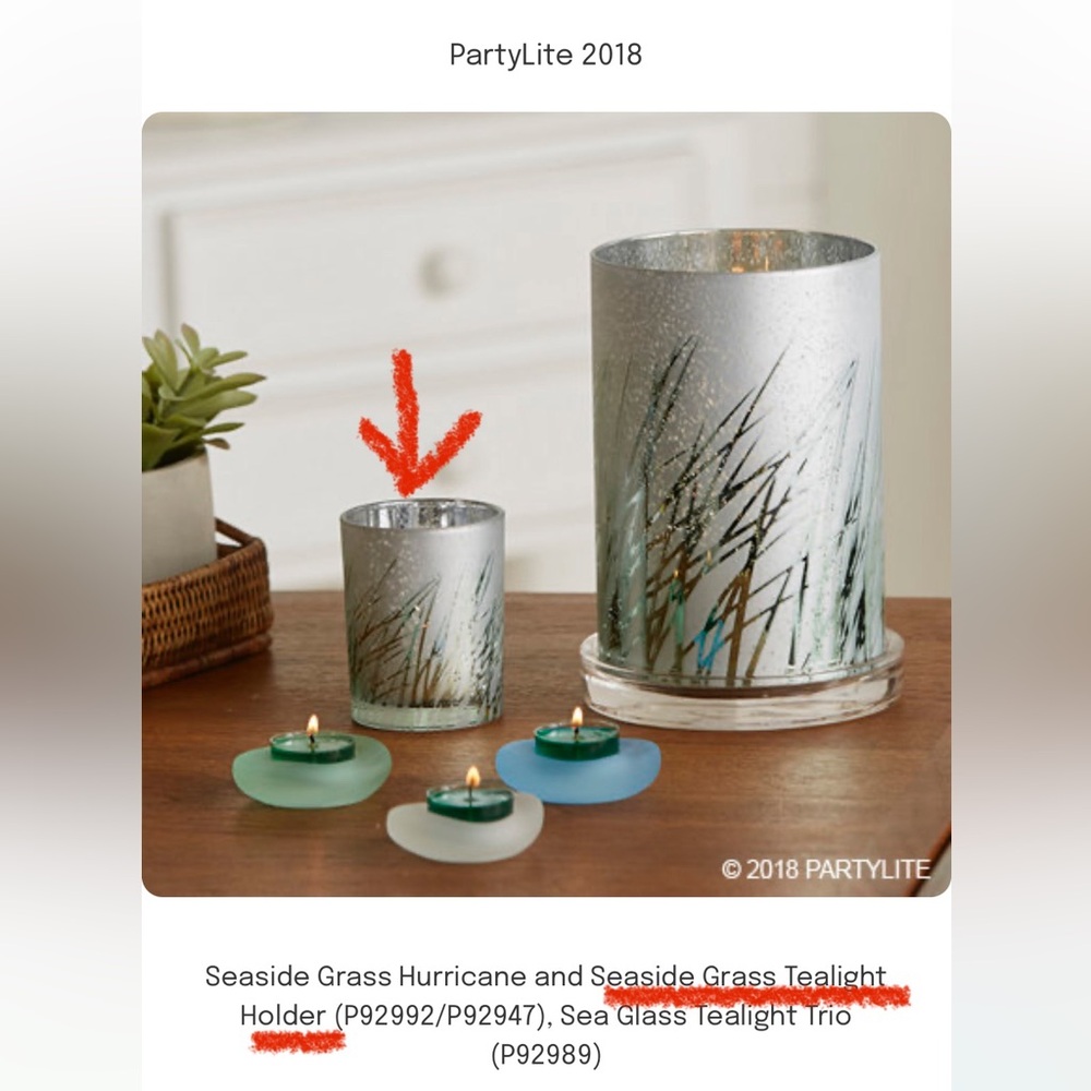 Partylite Seaside Grass Tealight Holder; New in Box